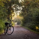 Radfahren im Moselland